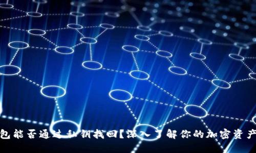 冷钱包能否通过私钥找回？深入了解你的加密资产安全